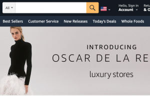 美国电商巨头亚马逊推出线上奢侈品牌“店中店“：Luxury Stores